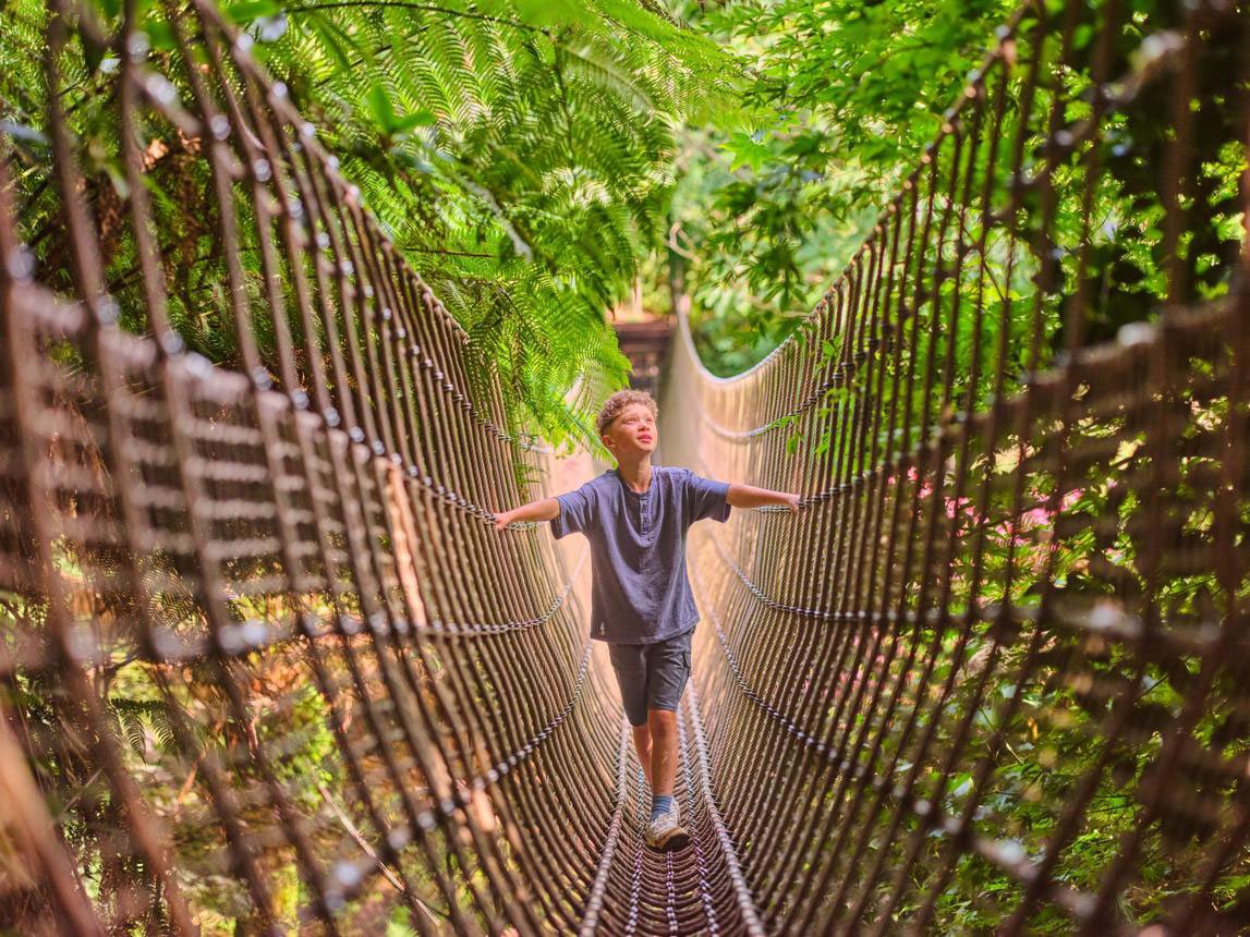 Explore the Lost Gardens of Heligan