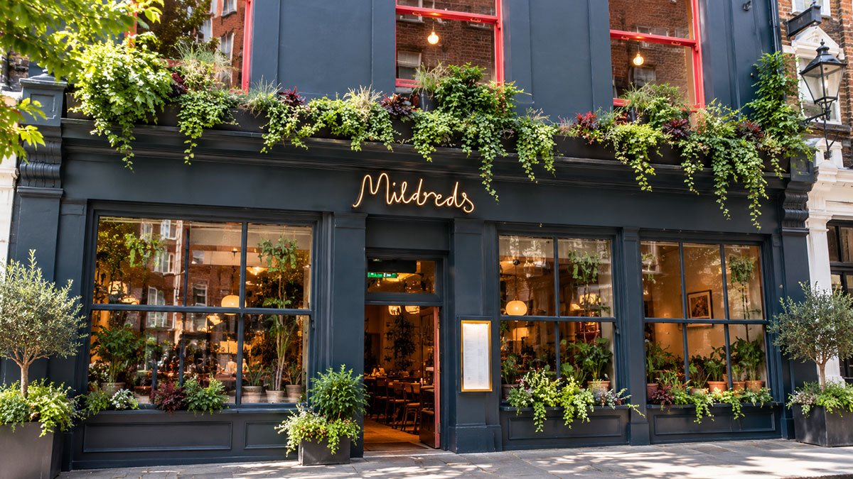 Mildreds