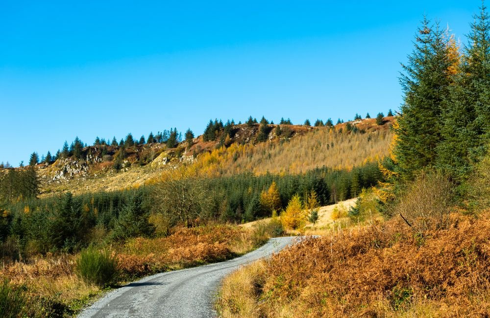 Scenic rural road through the rolling countryside of Dumfries and Galloway, Scotland