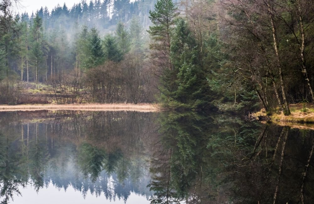 Galloway Forest Park Dumfries