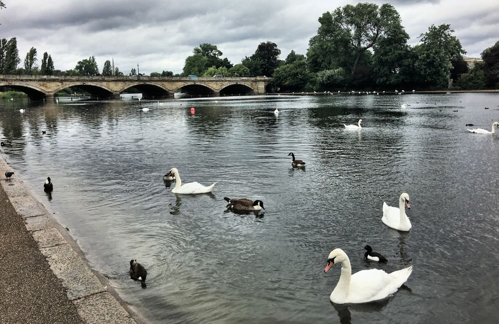 London Duck Tours