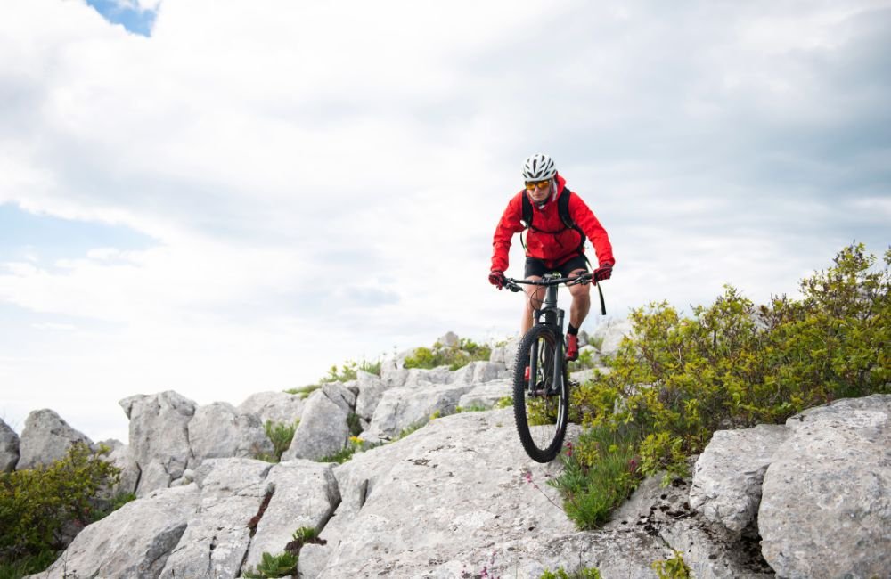 Summer Mountain Biking