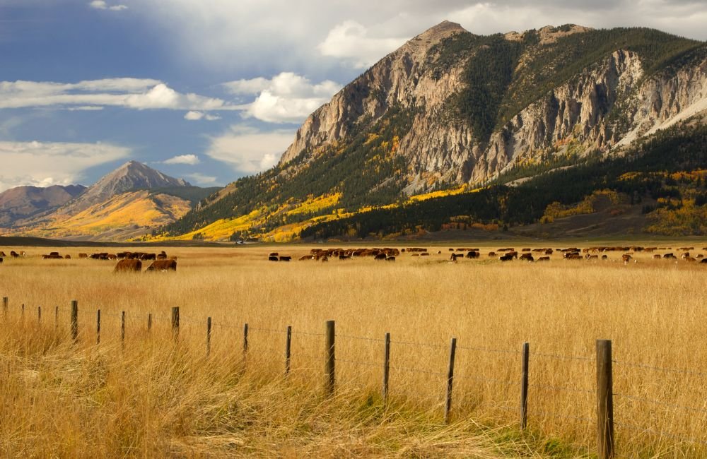 Crested Butte Colorado