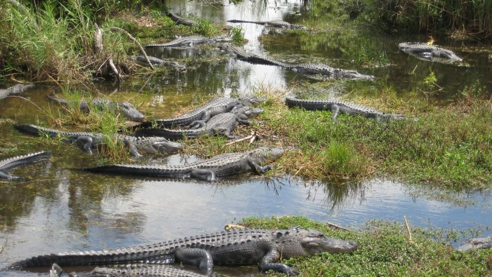 Everglades National Park Miami