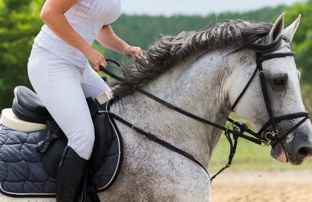 Horse Riding