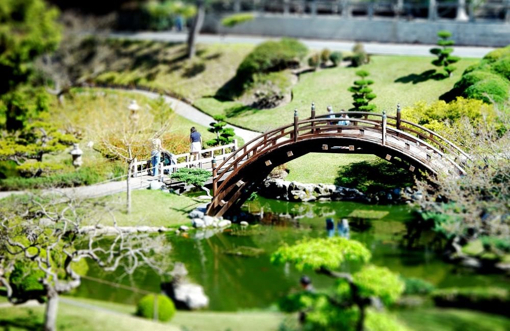 Gardens and Collections at The Huntington