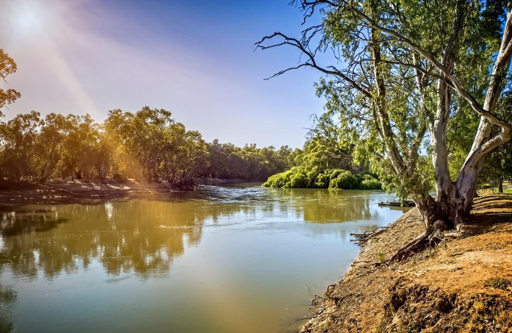 Caurnamont North Murray River
