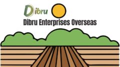 Dibru Enterprises Overseas - Soil Testing Service Provider in Guwahati